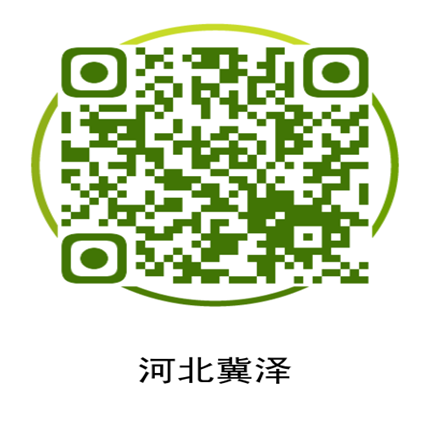 365电子游戏